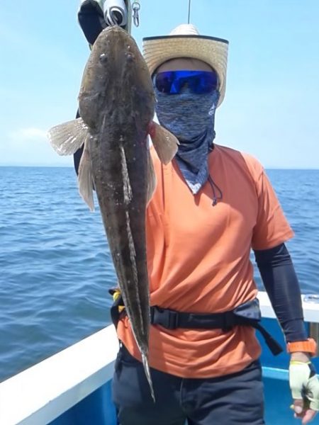 さわ浦丸 釣果