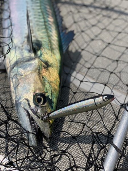 へいみつ丸 釣果