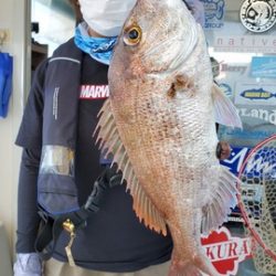 遊漁船　ニライカナイ 釣果