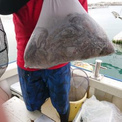 たかみ丸 釣果