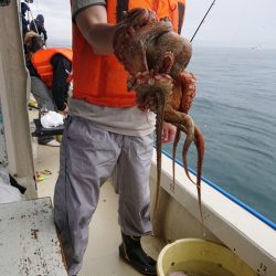 たかみ丸 釣果