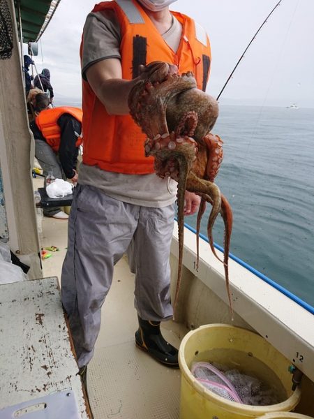 たかみ丸 釣果