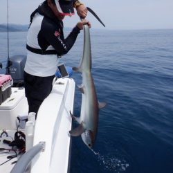 開進丸 釣果