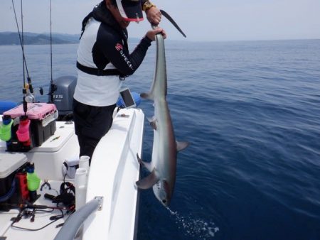 開進丸 釣果