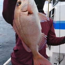 遊漁船 新鋭丸 釣果