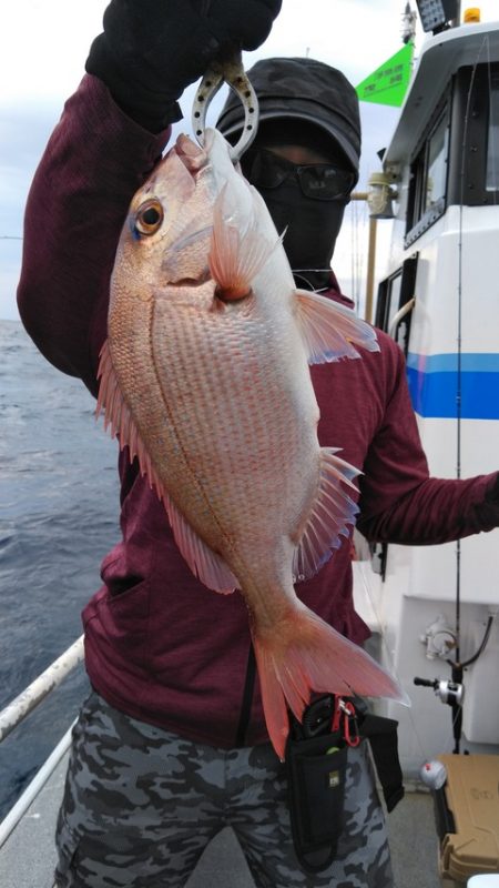 遊漁船 新鋭丸 釣果