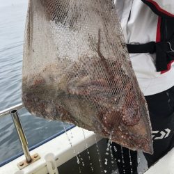 たかみ丸 釣果