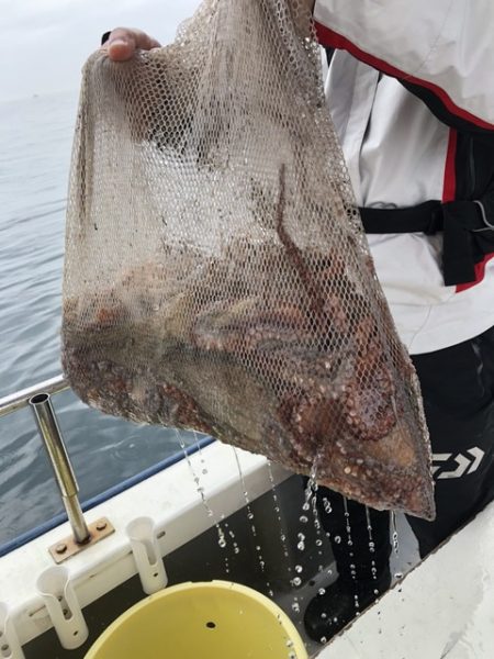 たかみ丸 釣果