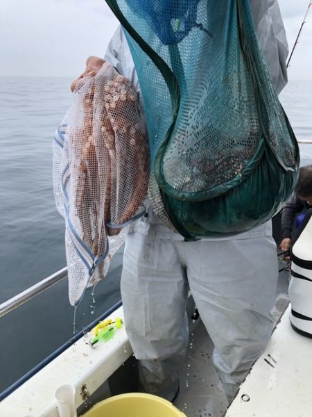 たかみ丸 釣果