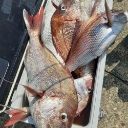 海峰 釣果