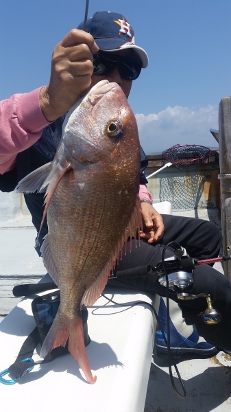 小海途 釣果