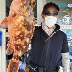 遊漁船　ニライカナイ 釣果