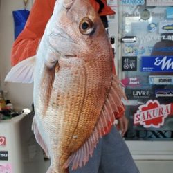 遊漁船　ニライカナイ 釣果