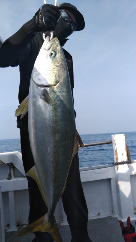 遊漁船 新鋭丸 釣果