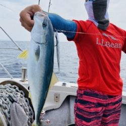 シーモンキー 釣果