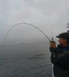 東京湾探釣隊ぼっち 釣果