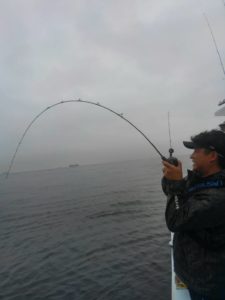 東京湾探釣隊ぼっち 釣果