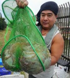 東京湾探釣隊ぼっち 釣果