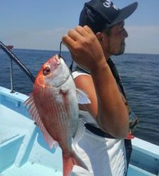 東京湾探釣隊ぼっち 釣果