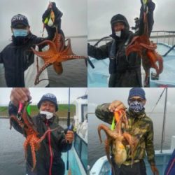 東京湾探釣隊ぼっち 釣果