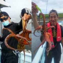 東京湾探釣隊ぼっち 釣果