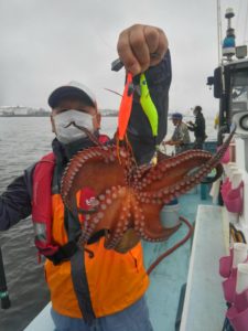 東京湾探釣隊ぼっち 釣果