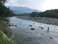 秩父フライフィールド 釣果