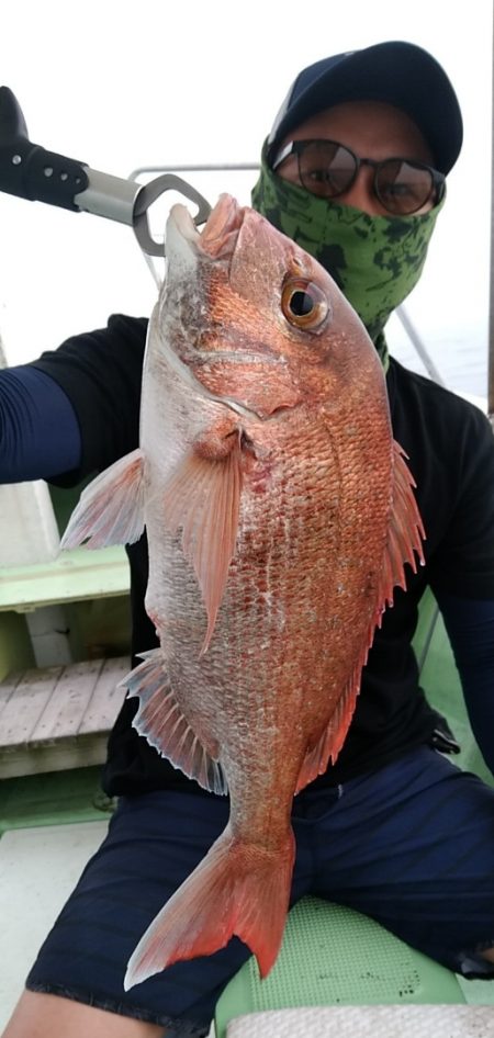 小島丸 釣果