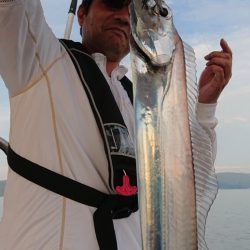 シースナイパー海龍 釣果