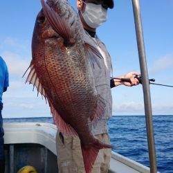 だて丸 釣果