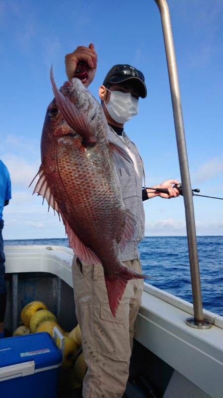 だて丸 釣果