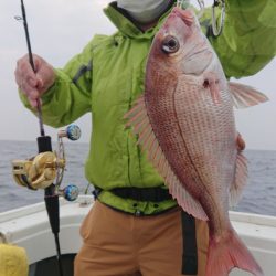 だて丸 釣果