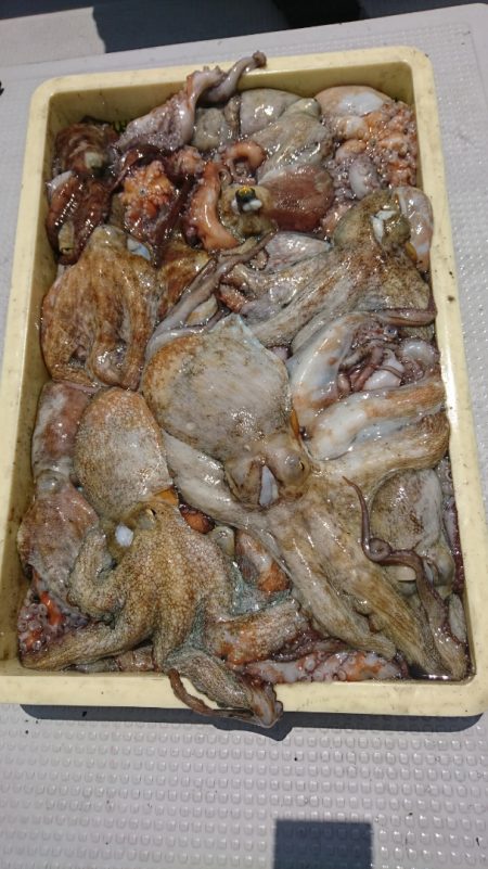 釣人家 釣果