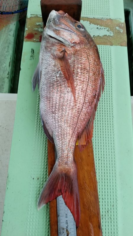 小島丸 釣果