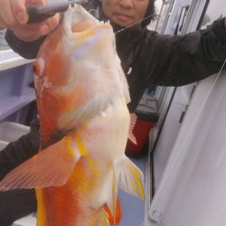 新幸丸 釣果