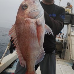 秀漁丸 釣果