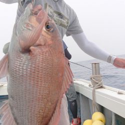 だて丸 釣果