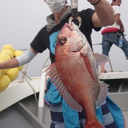 だて丸 釣果