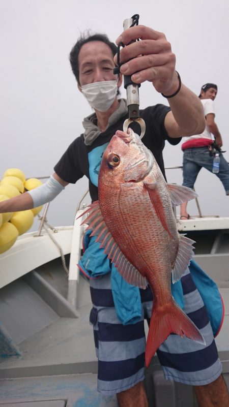 だて丸 釣果