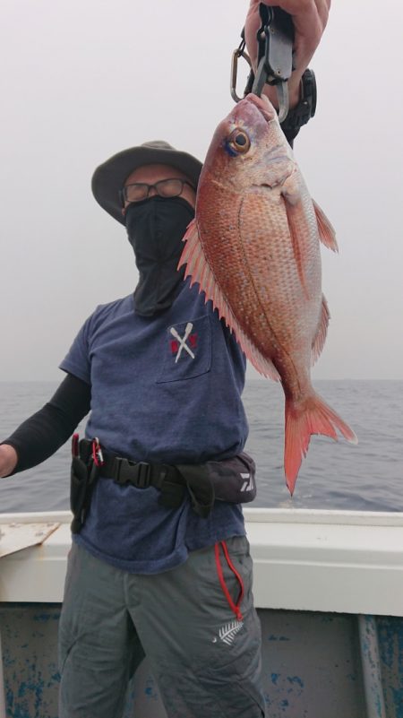 だて丸 釣果