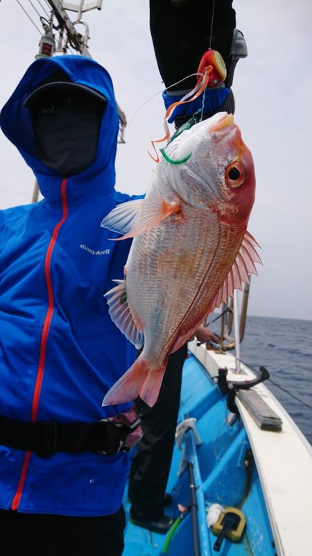 竹宝丸 釣果