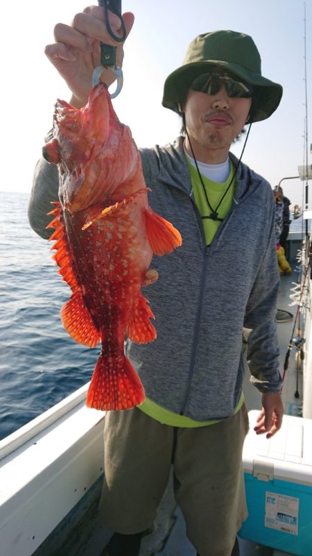 だて丸 釣果