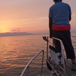 シースナイパー海龍 釣果