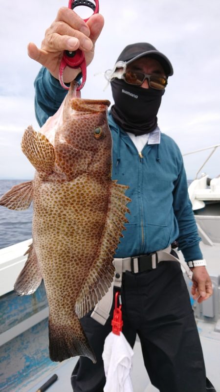 だて丸 釣果