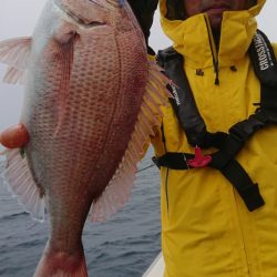 竹宝丸 釣果