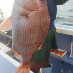 新幸丸 釣果