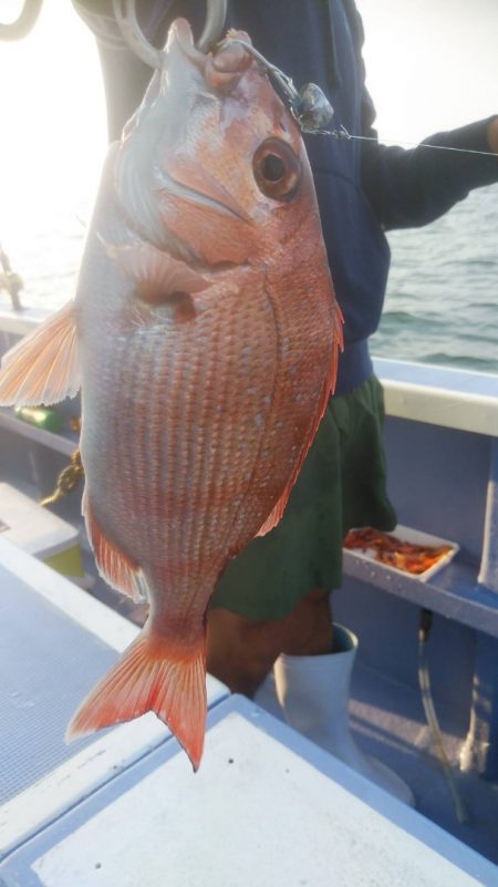 新幸丸 釣果