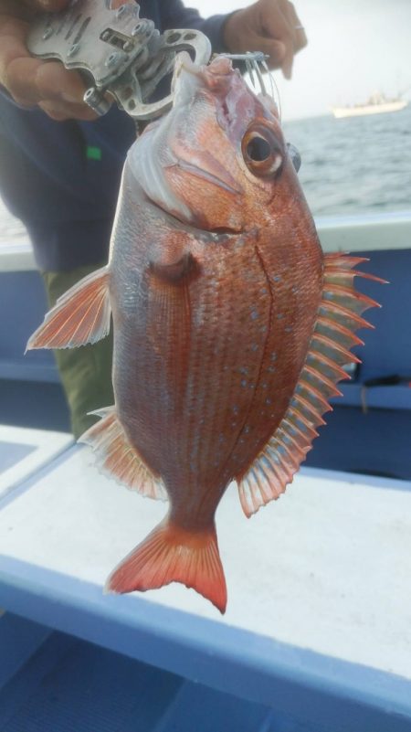 新幸丸 釣果