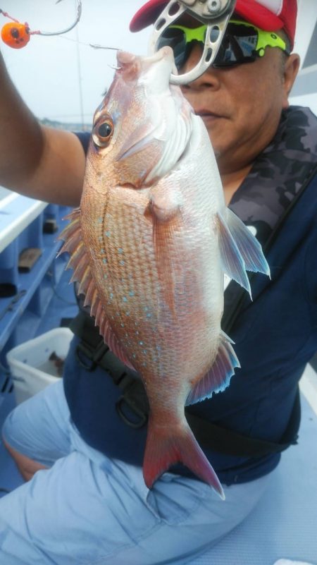 新幸丸 釣果