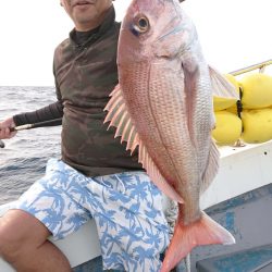 だて丸 釣果